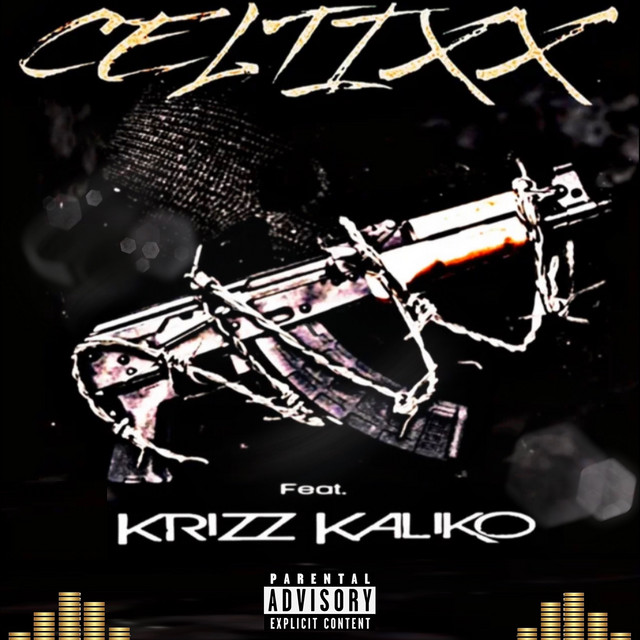 Album cover for Chop Shop by Celtixx