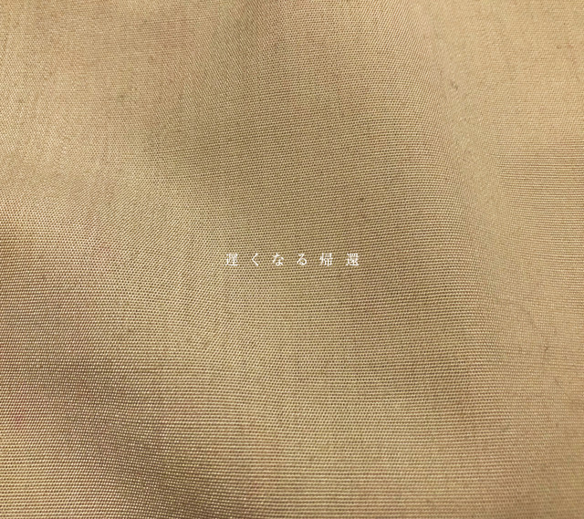 遅くなる帰還 cover art