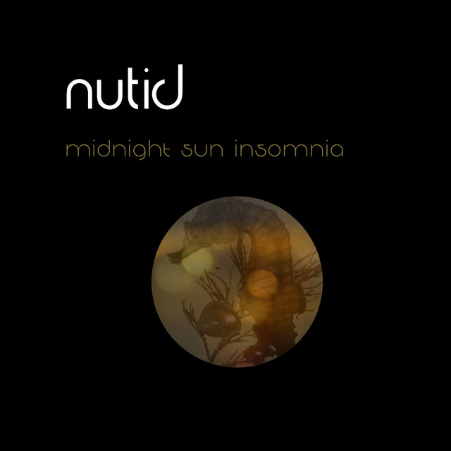 Midnight Sun Insomnia cover