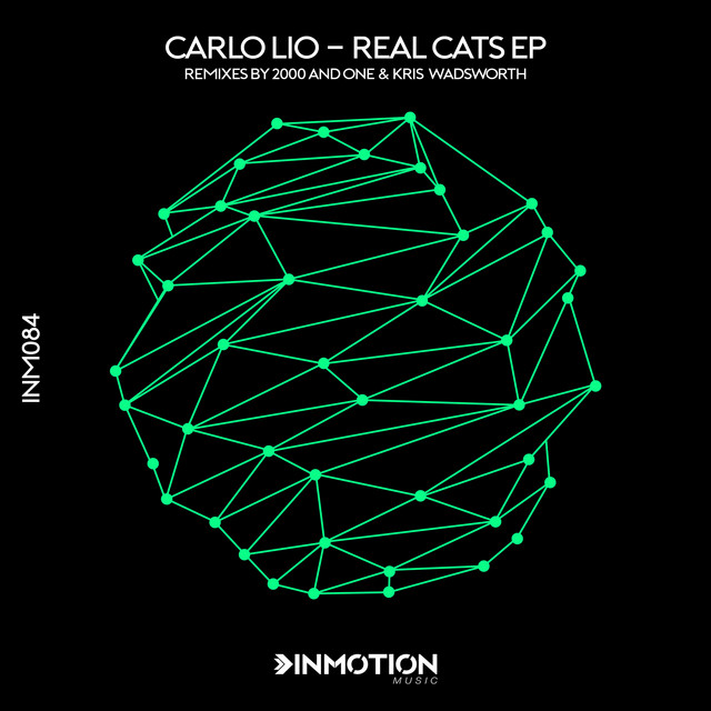 Real Cats - 2000 And One Remix album art