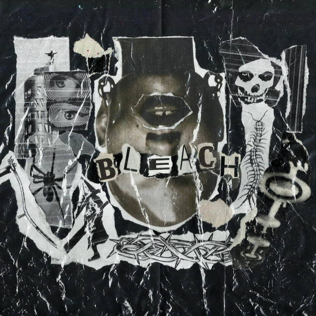 Bleach cover art