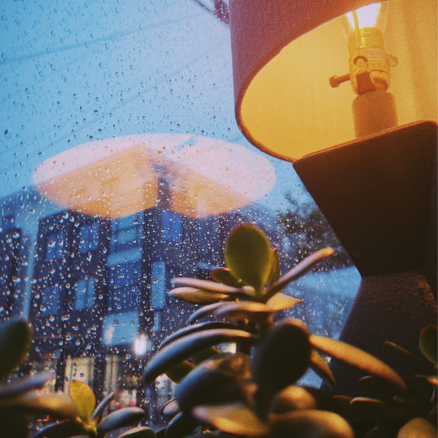 soju cover art