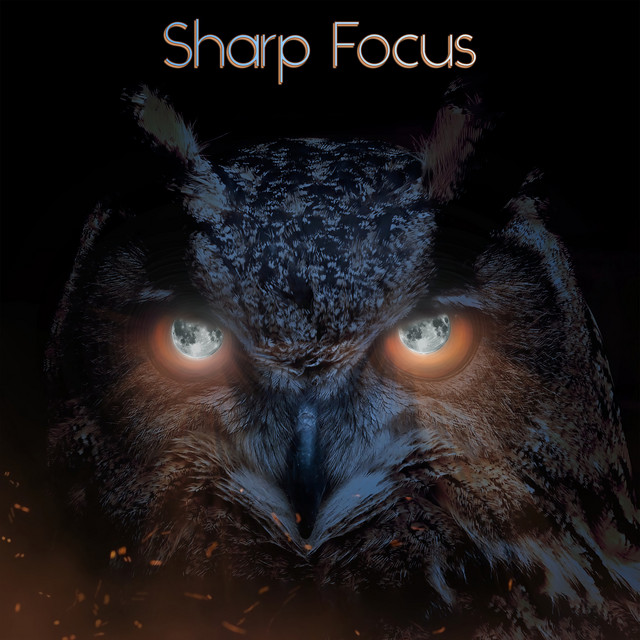 Sharp Focus cover art