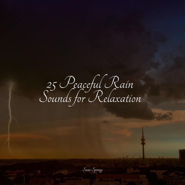 25 Peaceful Rain Sounds for Relaxation - Album by Kinderlieder ...