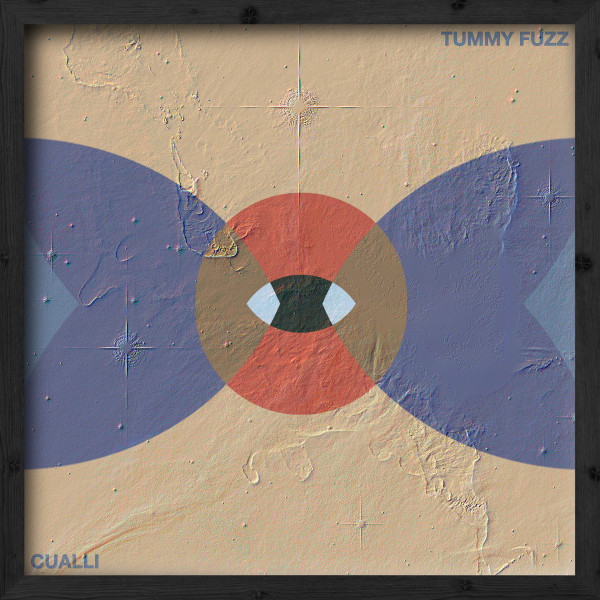 Tummy Fuzz cover art
