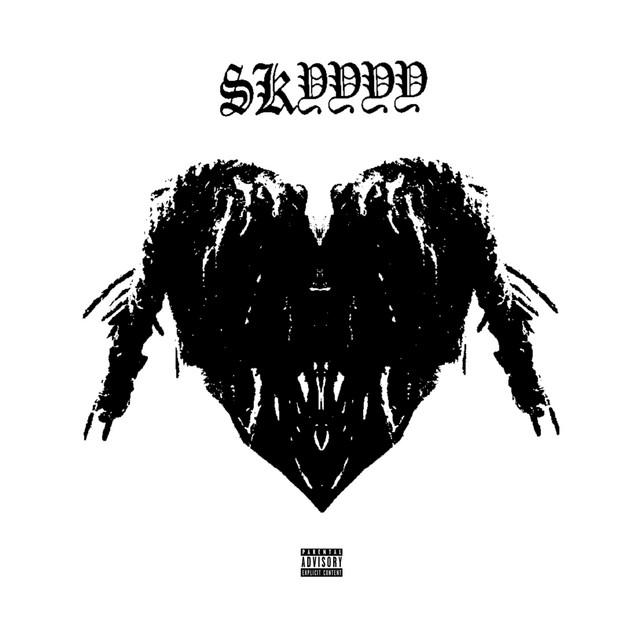 Skyyyy cover art