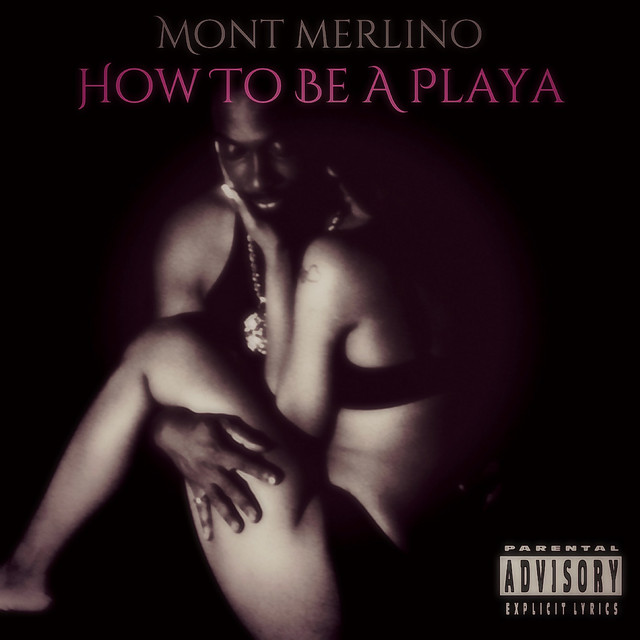 How to Be a Playa cover art
