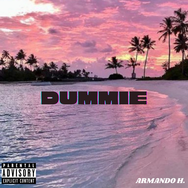 Dummie cover art