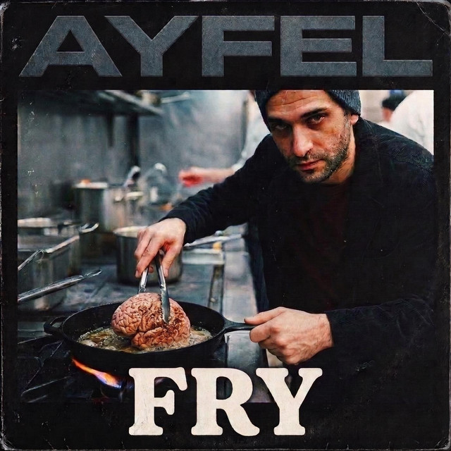 fry cover