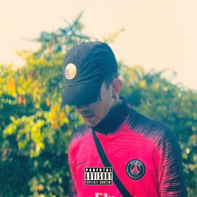 apx qndo cover art