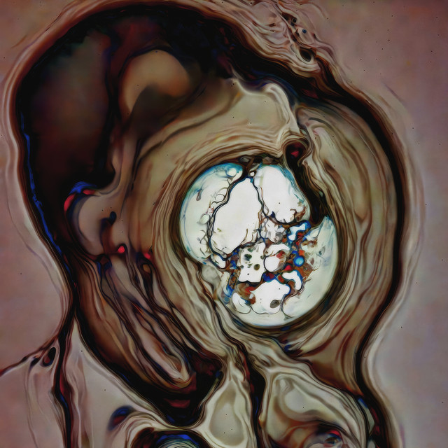 Asymptote cover art