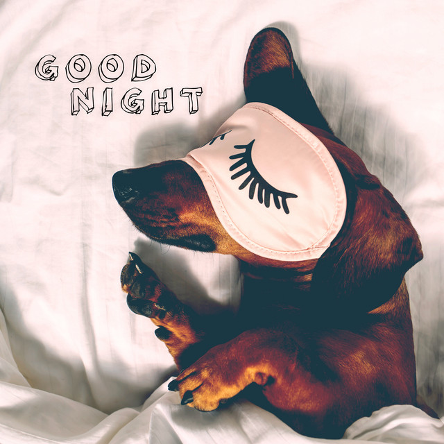 Entspannungs und Einschlafgeräusche (Sleep Sounds) cover