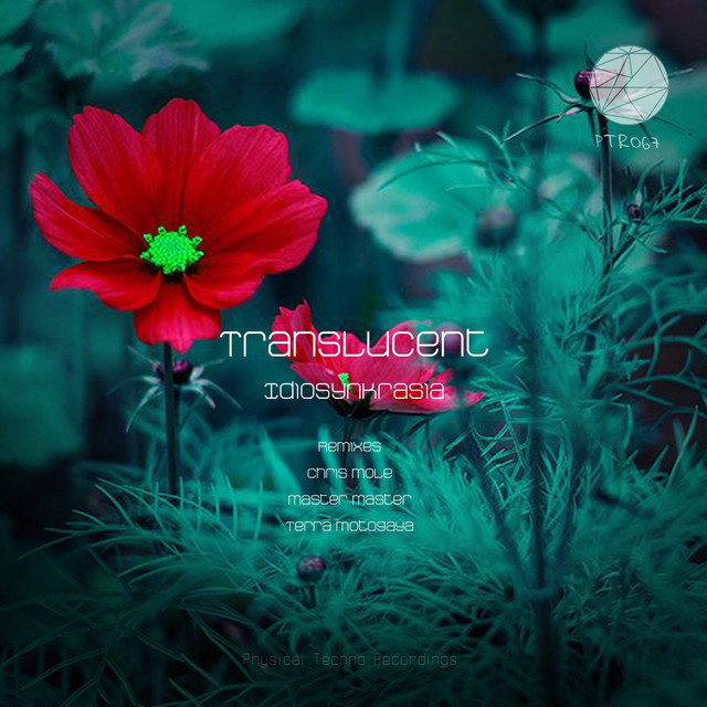 Translucent cover art