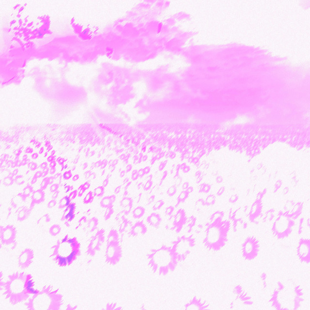 high cover art