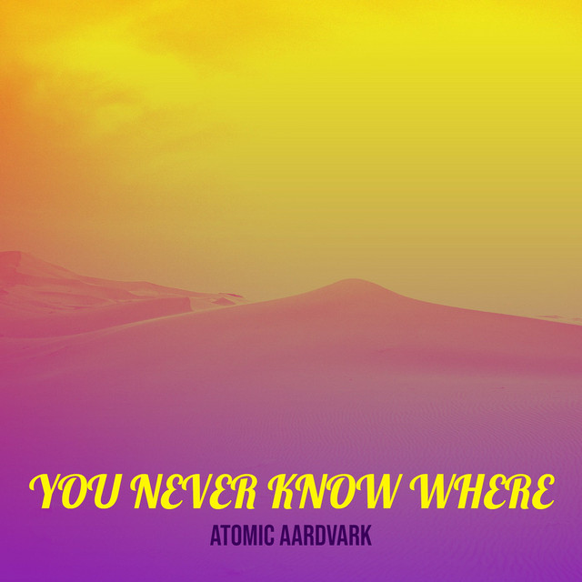 Atomic Aardvark – You Never Know Where