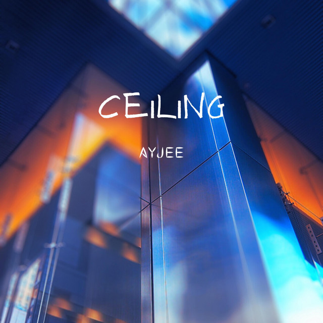 Ceiling cover art