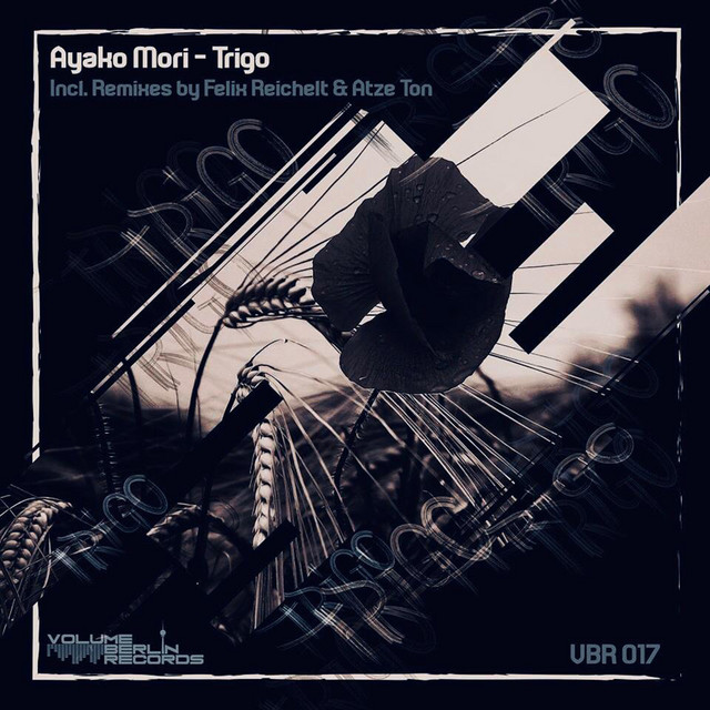 Trigo - Atze Ton Remix
