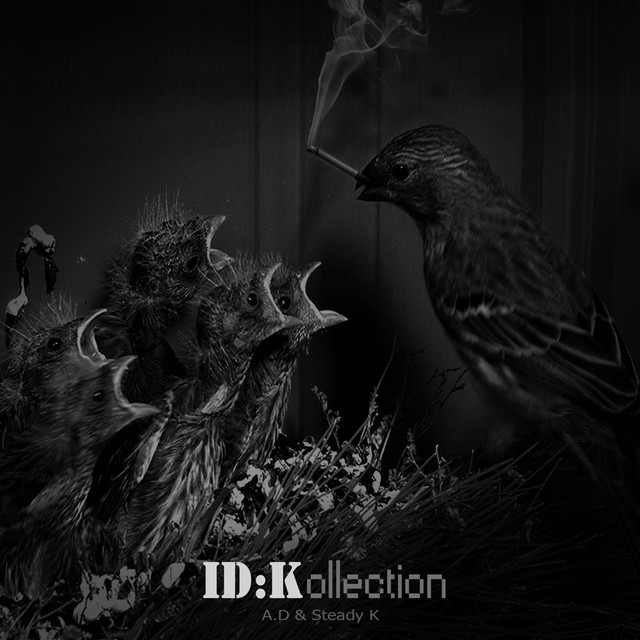 ID:Kollection cover art
