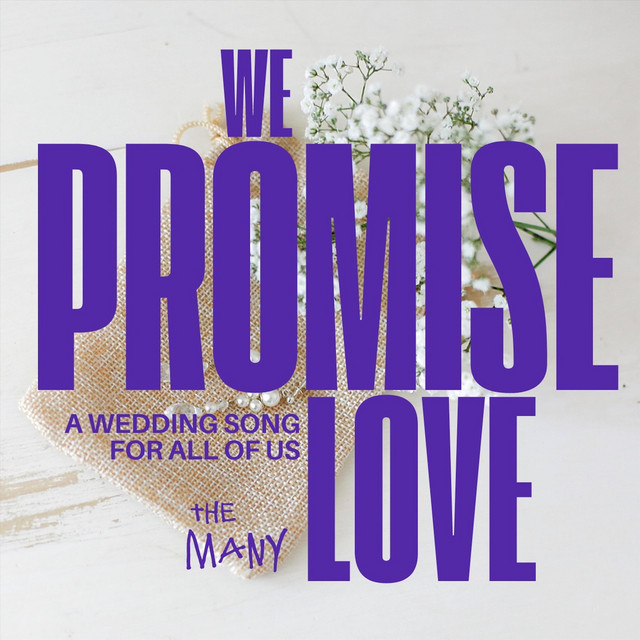 We Promise Love cover