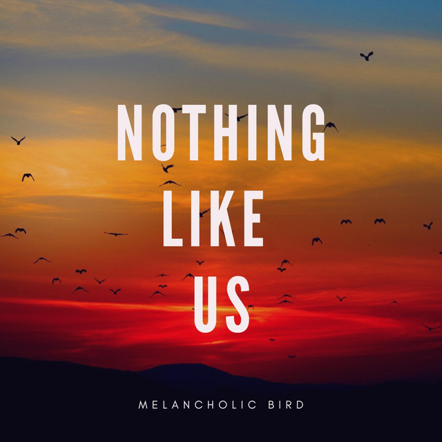 Обкладинка: Nothing Like Us — Melancholic Bird