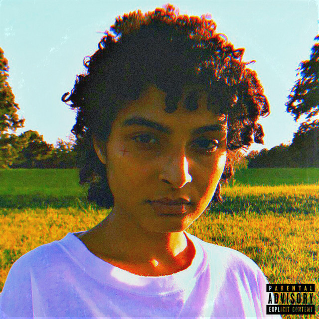 Run cover art