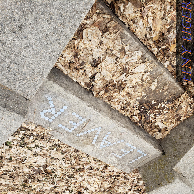 Leaver cover art