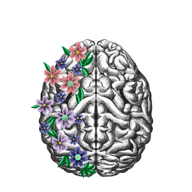 Flower Effekt cover art