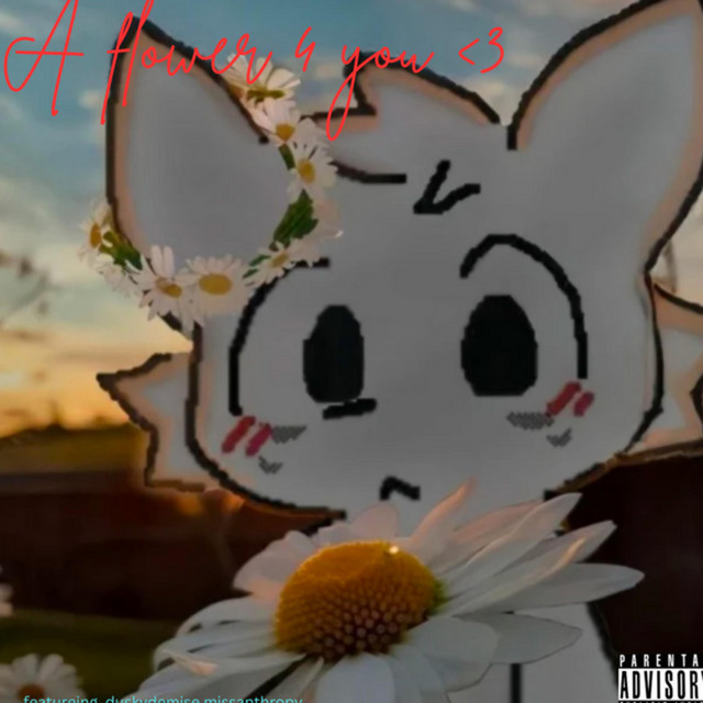 Please don't cry