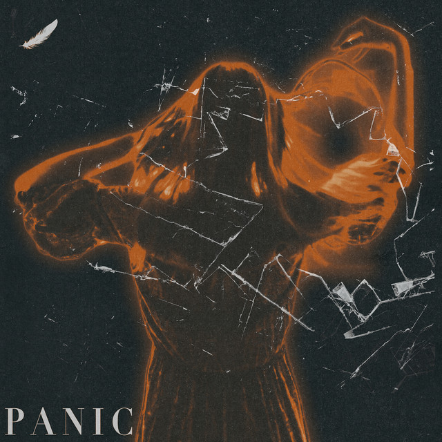 Panic cover art