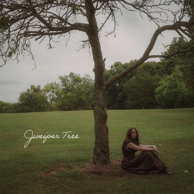 Juniper Tree cover art