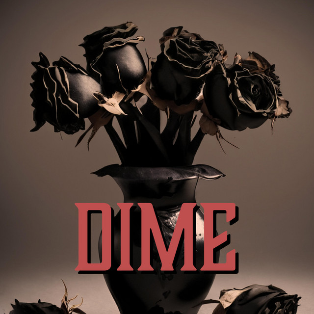 DIME cover art