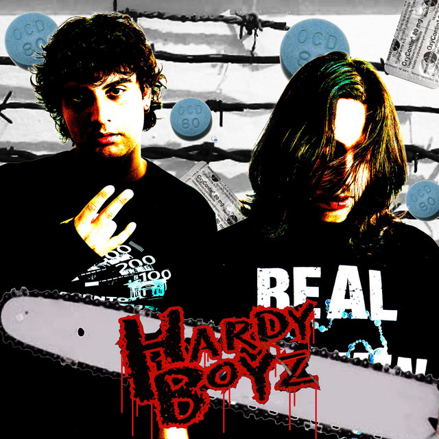 HARDY BOYZ cover art