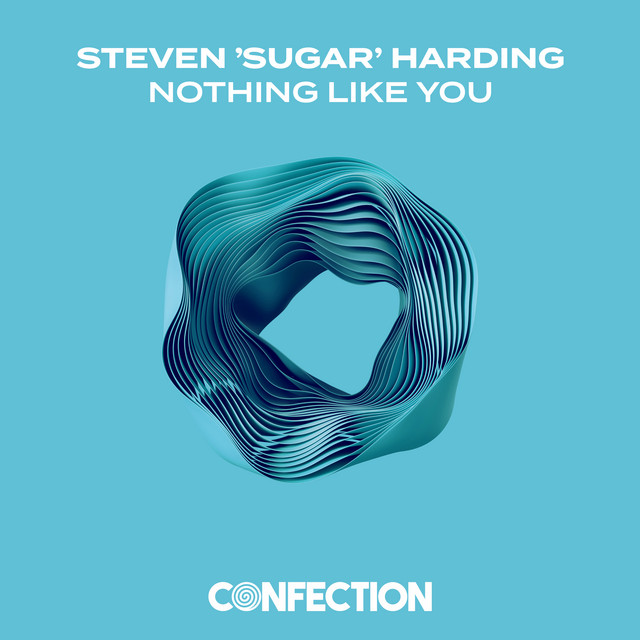 Nothing Like You - Extended Mix album art