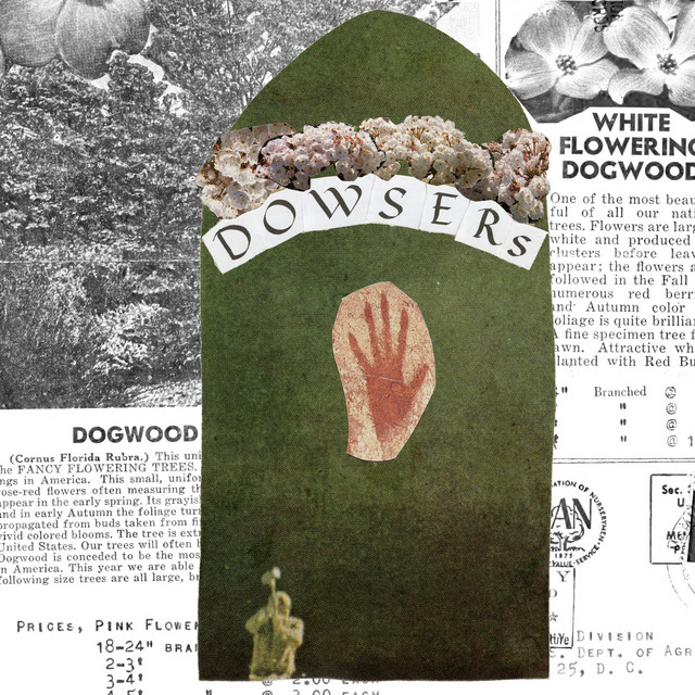 Dogwood / Three Forks of Cheat album image