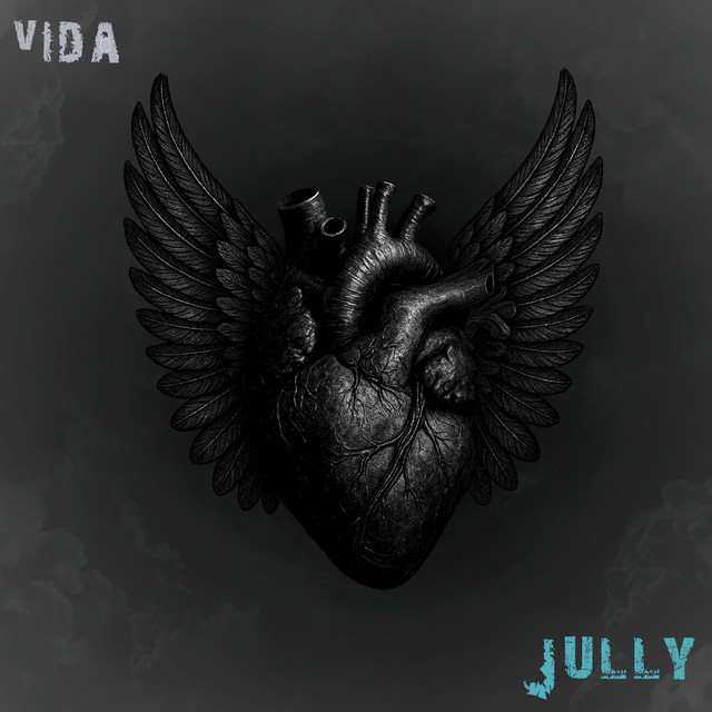 Vida
