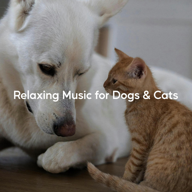 Relaxing Music for Dogs & Cats