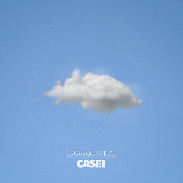 Las Cosas Que No Te Dije cover art