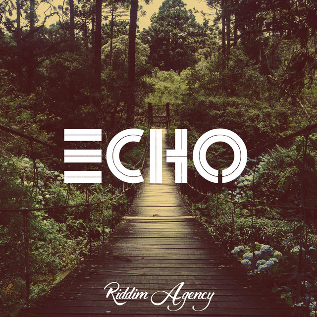 Echo - Single by Riddim Agency | Spotify