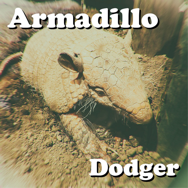 Armadillo cover art