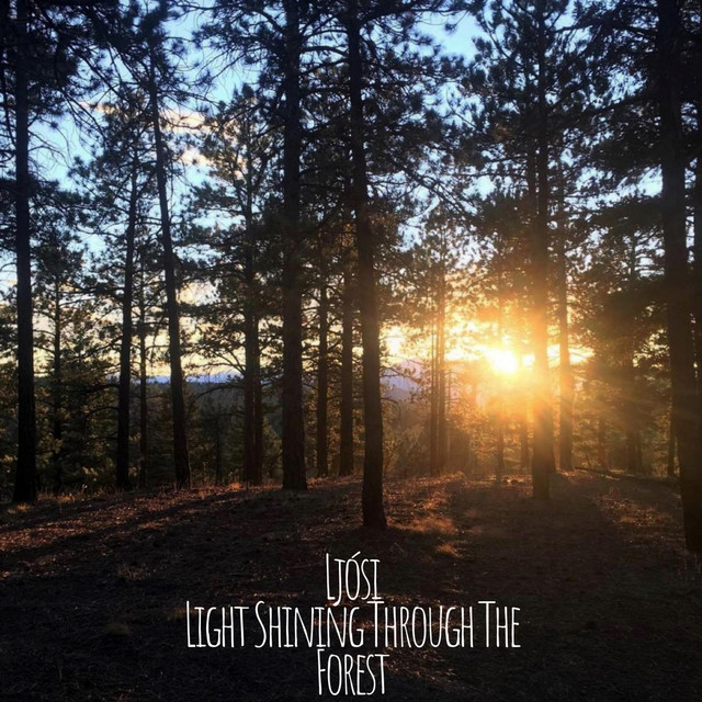 Ljósi cover art