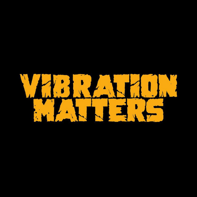 Vibration Matters cover art