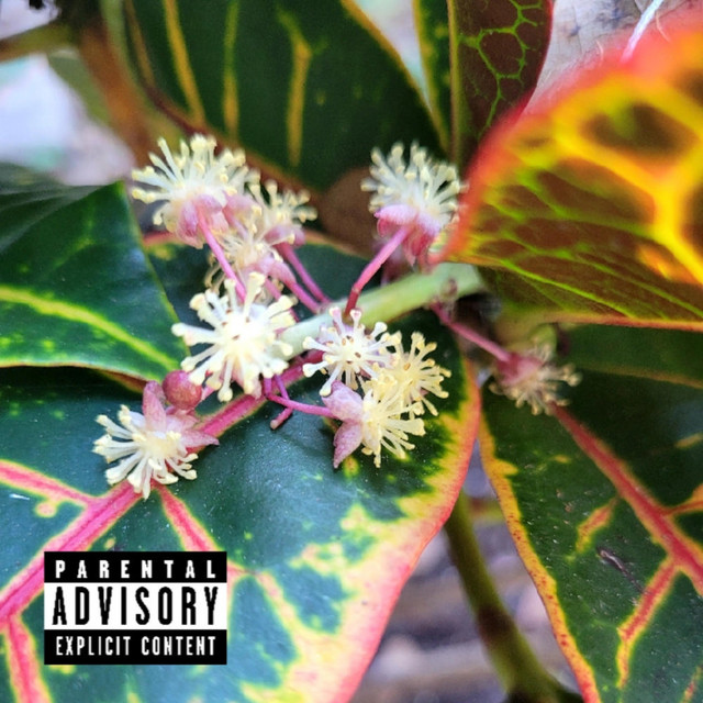 Lo$t but not forgotten cover