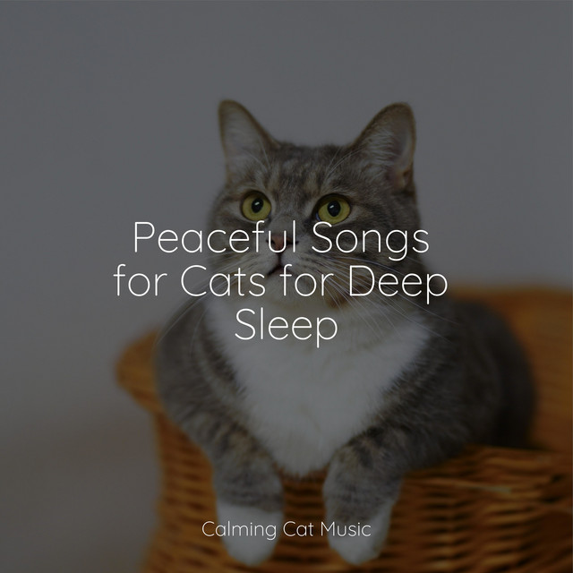 Peaceful Songs for Cats for Deep Sleep - Album by Jazz Music Therapy ...