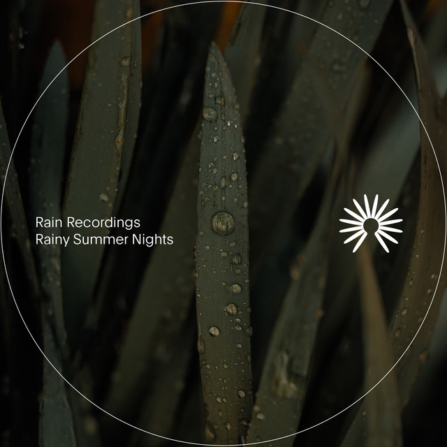 Rainy Summer Nights cover art