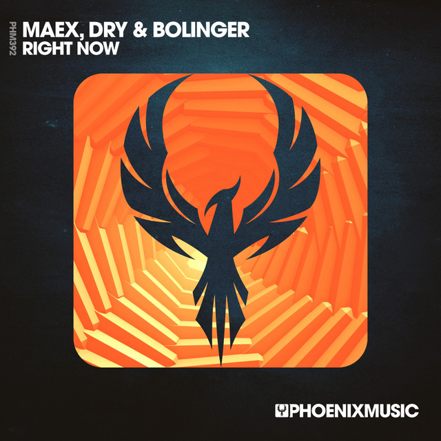 Right Now - Extended Mix album art