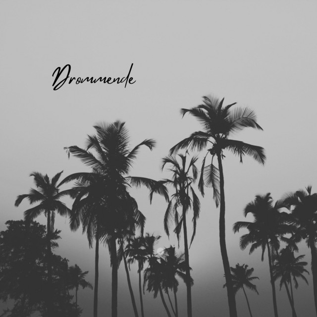 Drømmende by Polysomni