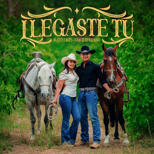 Llegaste Tú cover art