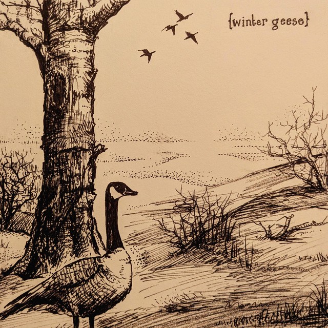 winter geese cover art