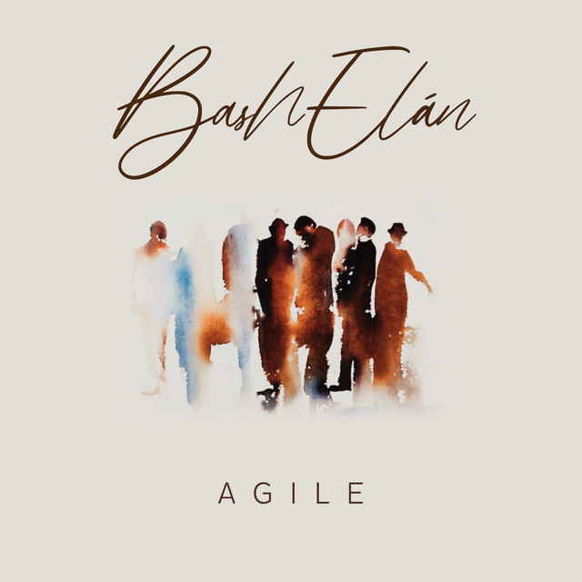 Agile cover art