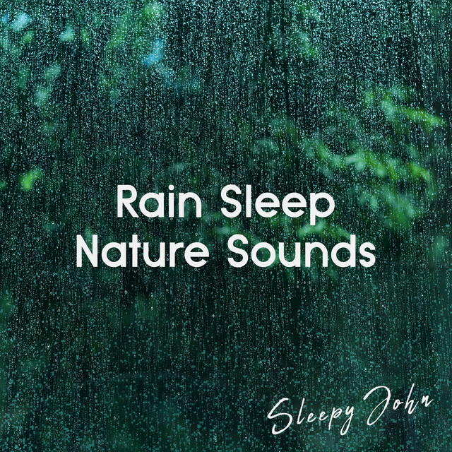 Rain Sleep & Nature Sounds cover art